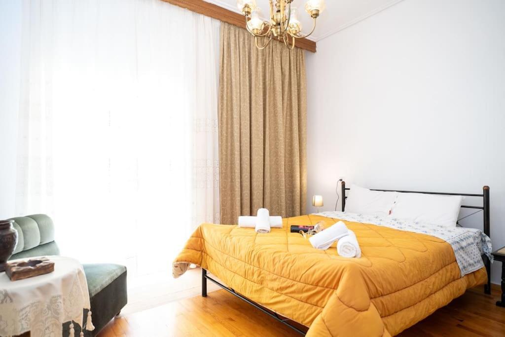 Theoni Central Apartment Kalambaka Eksteriør billede