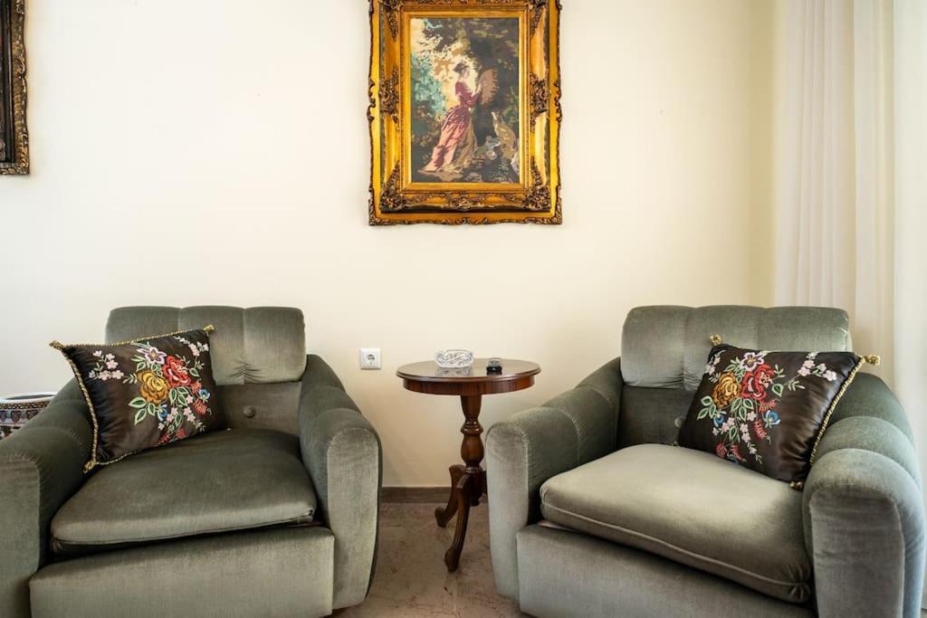 Theoni Central Apartment Kalambaka Eksteriør billede
