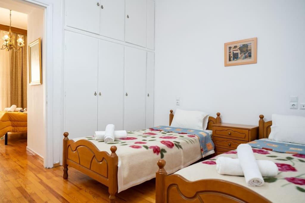 Theoni Central Apartment Kalambaka Eksteriør billede