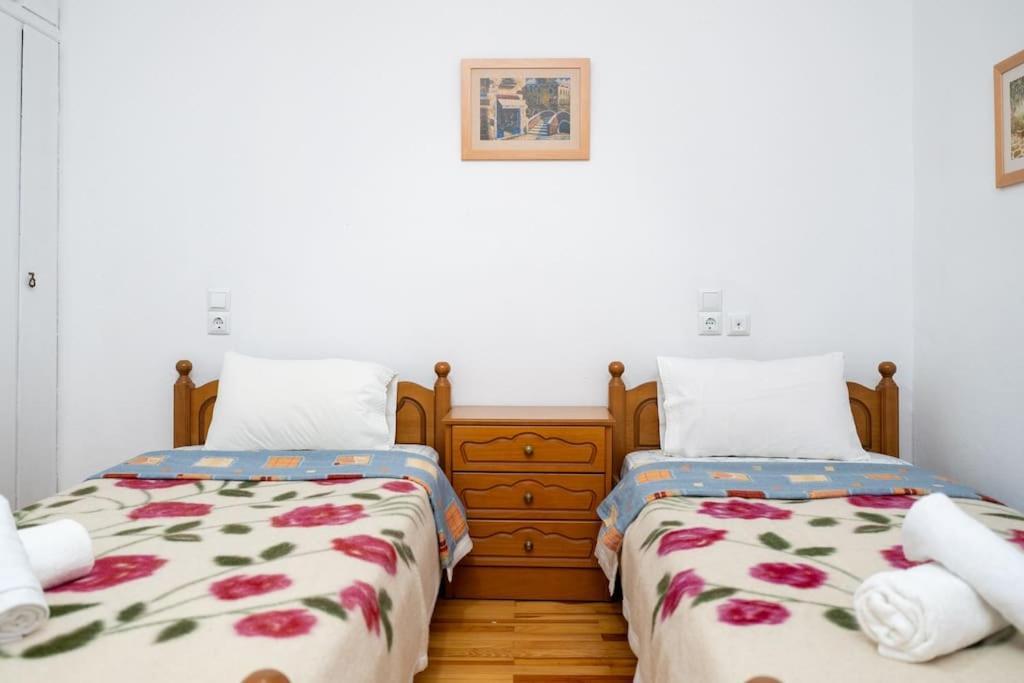 Theoni Central Apartment Kalambaka Eksteriør billede