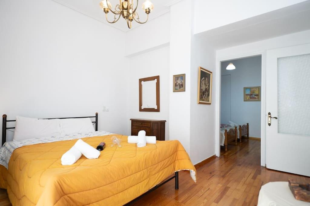 Theoni Central Apartment Kalambaka Eksteriør billede